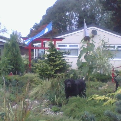 A christian searching for the truth. UK. Love GOD, family and dog, keen gardener and even like plants more than most people.   New pic of my front garden .