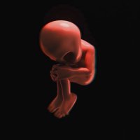 roger_io_3D (@roger_io_3d) 's Twitter Profile Photo roger_io_3D (@roger_io_3d) 's Twitter Profile Photo