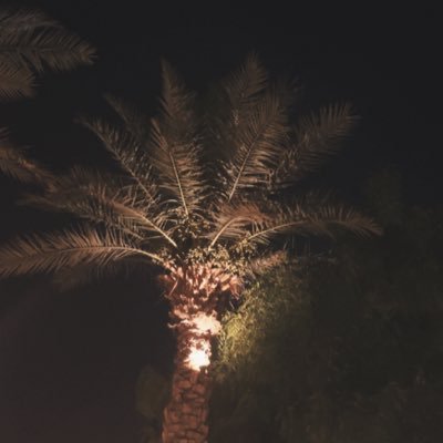 casstr's profile picture. حاصل الماجستير ادارة المشاريع 🏗مهندس كهربائي 👷🏻‍♂️ خبير في الموارد البشرية 🧑🏻‍💻