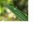 ryujwoo's profile image