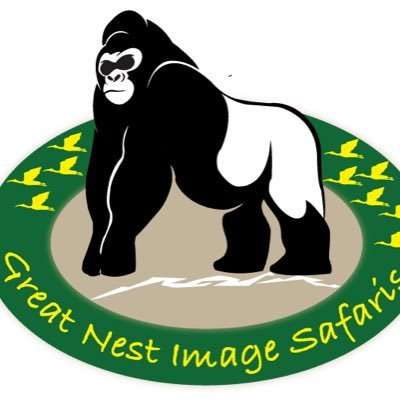 Great Nest Image Safaris Ltd