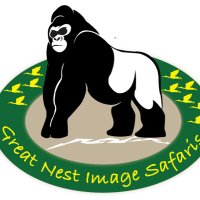 Great Nest Image Safaris Ltd(@greatnestimage) 's Twitter Profile Photo