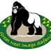 Great Nest Image Safaris Ltd (@greatnestimage) Twitter profile photo