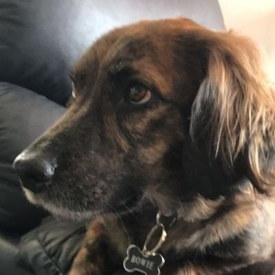 seba_elguetav's profile picture. Psychologist
-
Football⚽️
Gaming🎮
Music🎧