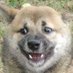 jordan (@gay_guevara1995) Twitter profile photo jordan (@gay_guevara1995) Twitter profile photo