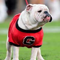 PhilGoDawgs🏆🏆 (@godawgsphil) 's Twitter Profile Photo