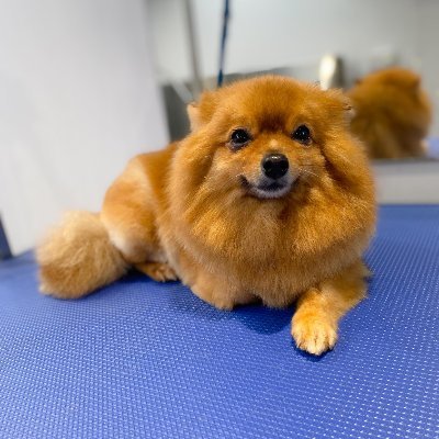 caz2019's profile picture. 