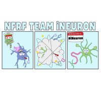 NFRF- Team iNeuron (@nfrf_ineuron) 's Twitter Profile