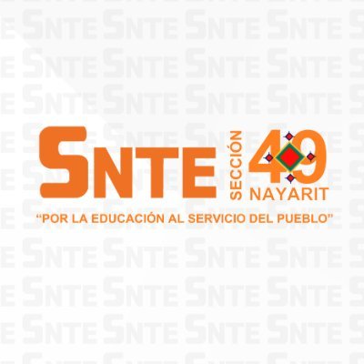 snte49nayarit Profile Picture