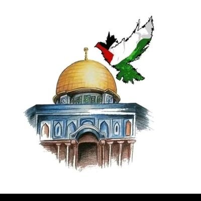 muhittinaksoydn's profile picture. Bir hiç