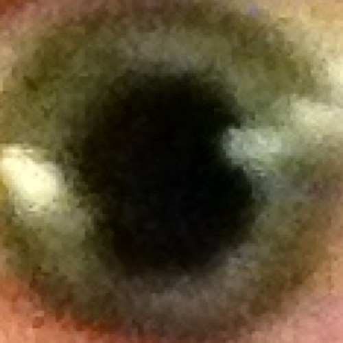 drblhmd's profile picture. Twitter is once again useless; it remains biased, and I hope something puts it out of business soon.