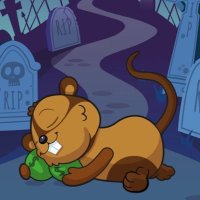 Bonoweb3.eth (@itvail) 's Twitter Profile