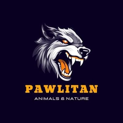 Pawlitan_news Profile Picture