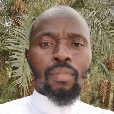 dinlilou's profile picture. 