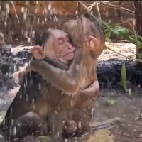 Jason hannon ❤️ Memecoin (@jasonhannon2) 's Twitter Profile