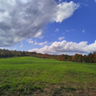 Bi-male looking for other bi or gay males in Ontario Canada