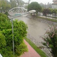 Baleeg (@rdqh4dpmp95ehzv) Twitter profile photo