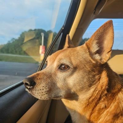 dhrubee's profile picture. Business & Leadership Coach | Marketing Strategist | Speaker | Author | Photographer | Creator perpetually exploring boundless, terrifying freedom