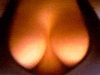 http://t.co/lwKfngfF6G