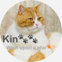 きん🐾🐾Wish upon a star☆彡(@KinSakurafubuki) 's Twitter Profile Photo