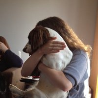 Lindsay 🏴 (@lindsayyohh) 's Twitter Profile