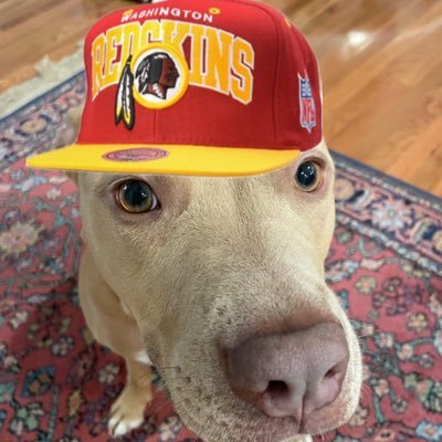 JMU alum; on here for sports and outrageous videos - Washington Redskins fan