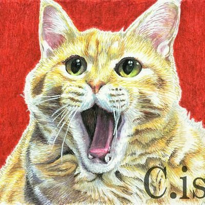 磯野キャビア ボールペン画集ZOO GARRELY – アトリエZOO