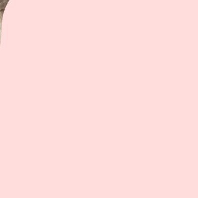 ナメクジさんのプロフィール画像