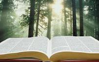 SalmosProverbio's profile picture. 