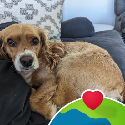 eGodShow's profile picture. Meet the Digital Dollar, the game-changer in the digital world. Championing Coefficient Capitalism, we're reigniting digital ecosystems and financial services.