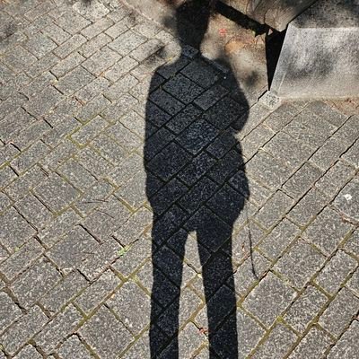 LINPING0508's profile picture. 