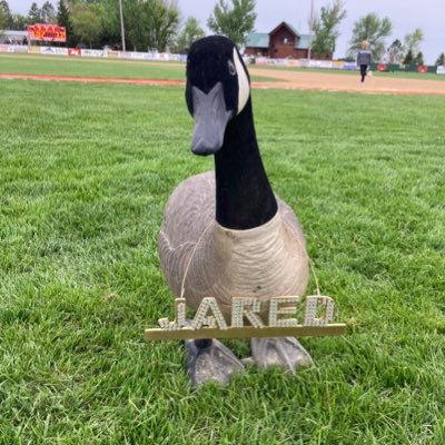 Official Twitter account of the PGDCWL Honkers and PG Legion WhiteCaps (Post 115)(Post 56)