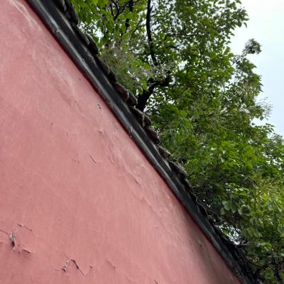 Daddy0Master's profile picture. 