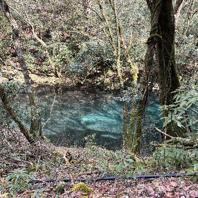 A___AaA___AaA's profile picture. ジャズピアノ練習
備忘録