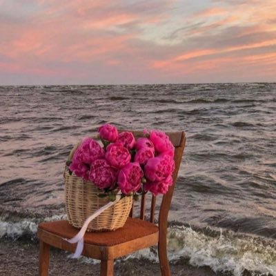 Toma12442's profile picture. 