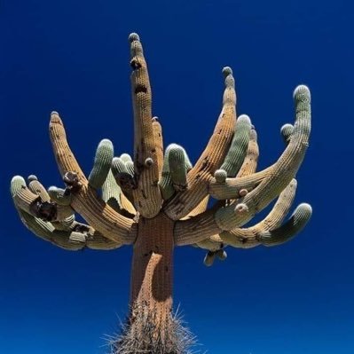 riv54768601's profile picture. 