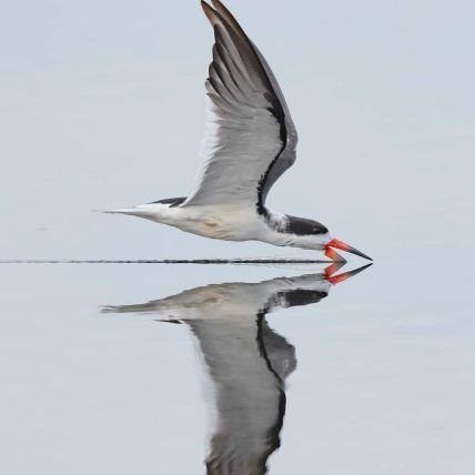 kishanhathiwala's profile picture. 