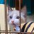 kuen__cod's profile image