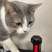 こたこじ (@x3qtgnb93eci0ts) 's Twitter Profile Photo