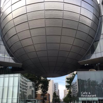 kohekoke's profile picture. 