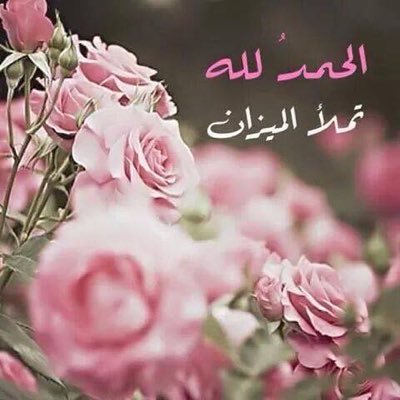 mmmd77264541347's profile picture. كن غريبًا أو عابر سبيل 🇸🇦