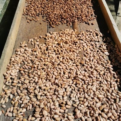 JohnBonilla8's profile picture. 