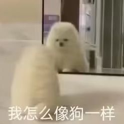 Moyo10Di's profile picture. 食用雑