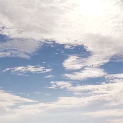 東郷さんのプロフィール画像