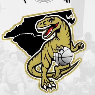 Official partner of PumaHoops & PRO16League | Participant in 2024 NXT Circuit | “We Are One, We Are Family, We Are #RaptorNation!”
