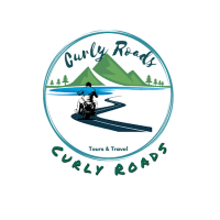 Curly Roads(@Curly_Roads) 's Twitter Profile Photo
