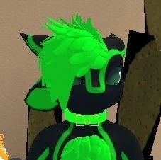 Sneezythecat228's profile picture. 19 | Minors DNI