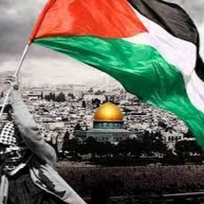 Younis_AbdelMa's profile picture. 