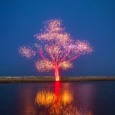 I create light paintings and also specialized in landscape and astrophotography.Creator and Maverick @oneplus https://t.co/qzA5UalD3N @theburrownft