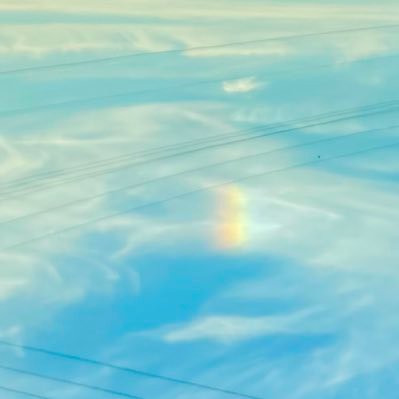 elephantinIL3's profile picture. 